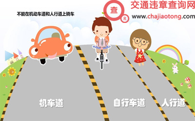 交通安全常识 交通安全常识